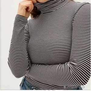Everlane Pima Micro Rib Turtleneck Top